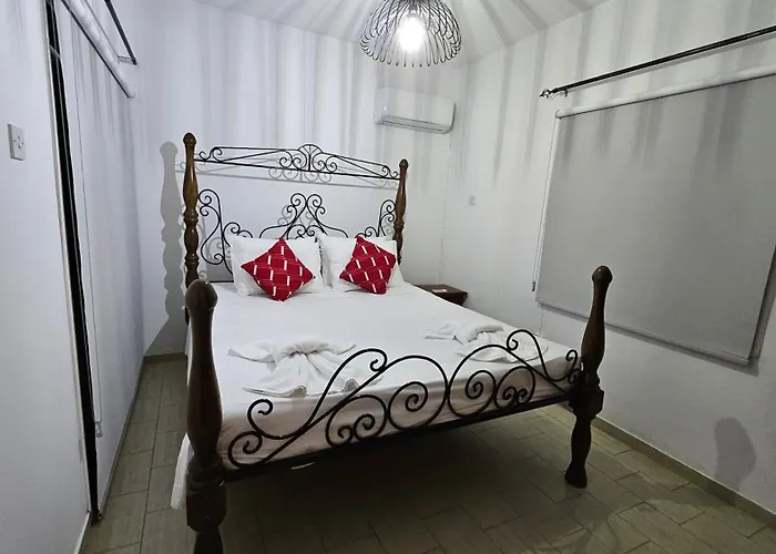 Livia - Eleni * Polis