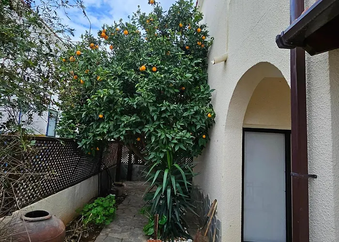 Livia - Eleni Villa Polis