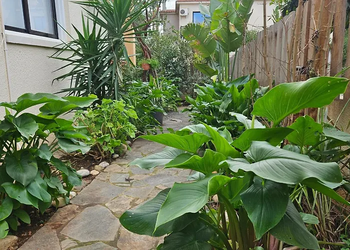 Livia - Eleni Villa Polis